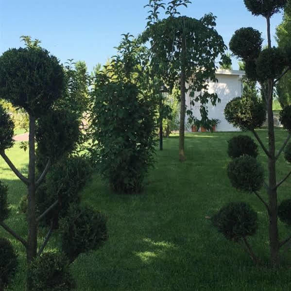 Hotel Bussana ポルト・トッレ エクステリア 写真
